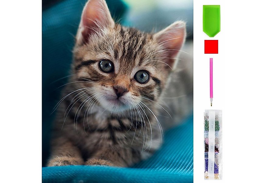 LA CUTE Malen nach Zahlen 5d Diamond Painting Katze Malen nach Zahlen 15x20 günstig online kaufen