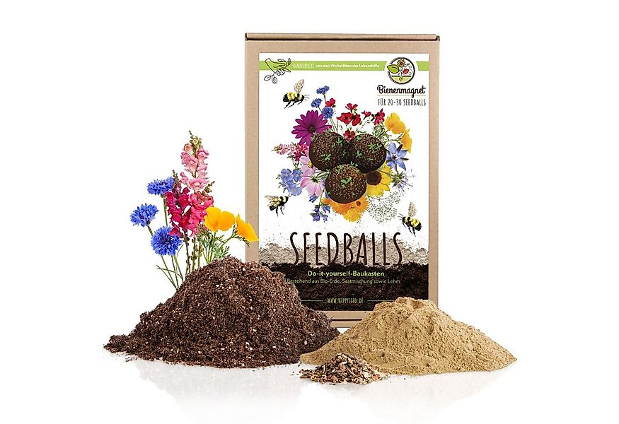 Bienenmagnet Blumensamen Samenbomben selber machen (Bienenweide) - Bausatz günstig online kaufen