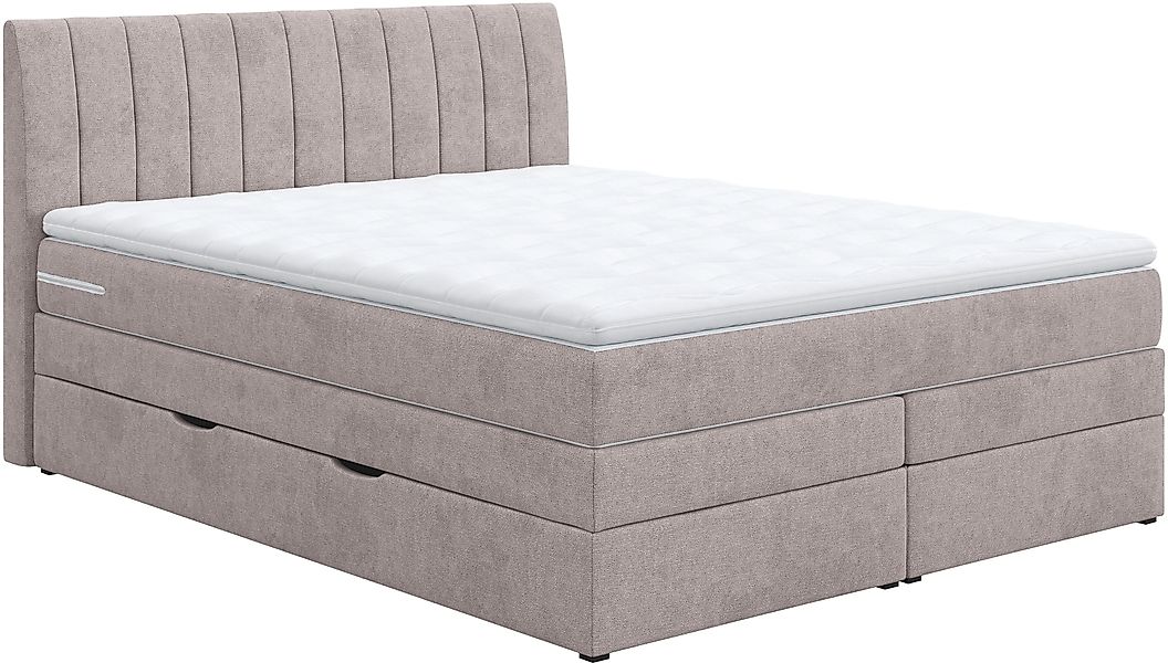 COTTA Boxspringbett »Shark inkl. Bettkasten und Topper«, erhältlich in den günstig online kaufen