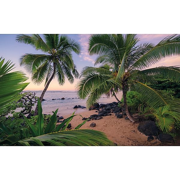 Vlies Fototapete Hawaiian Dreams 450x280 cm günstig online kaufen