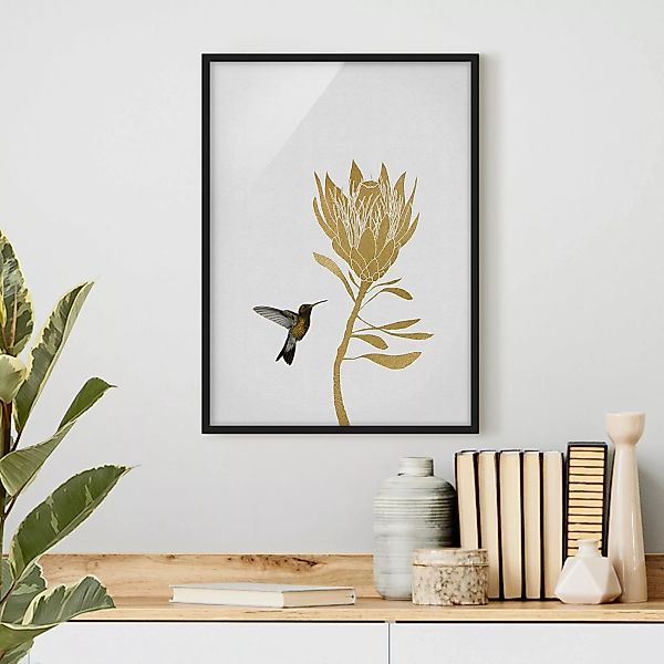 Bild mit Rahmen Kolibri und tropische goldene Blüte günstig online kaufen