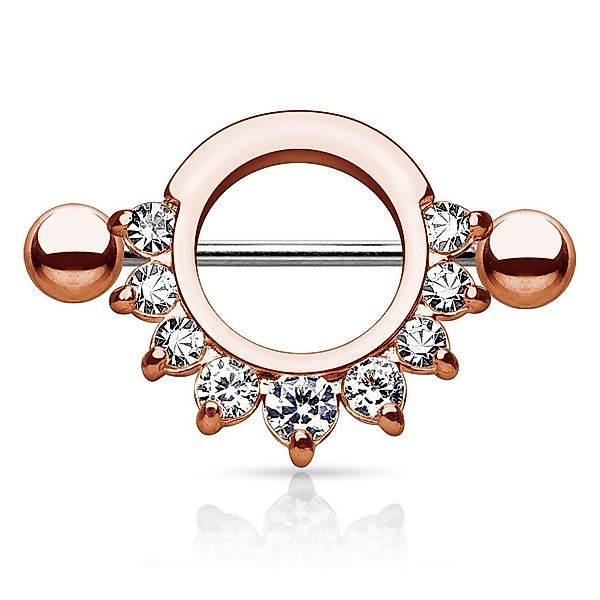 Taffstyle Intimpiercing Intim Brust Intimpiercing Schild günstig online kaufen
