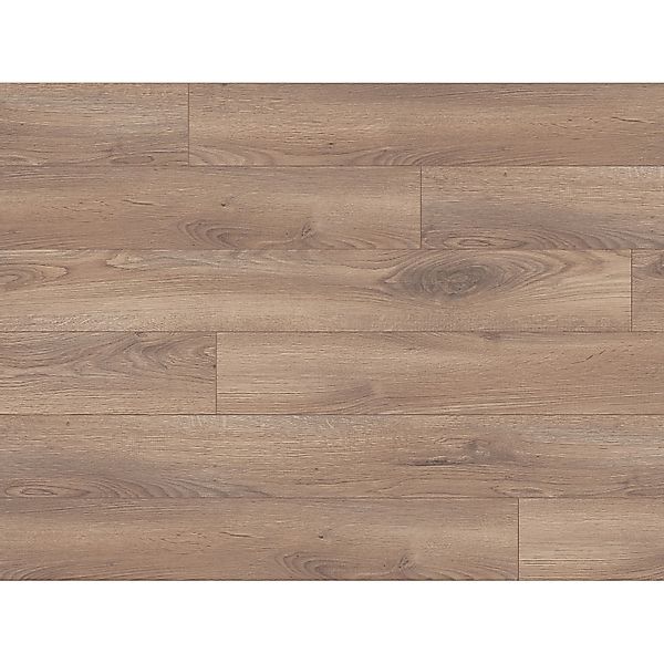 Kaindl Masterfloor Laminat 8 mm Eiche Marineo günstig online kaufen