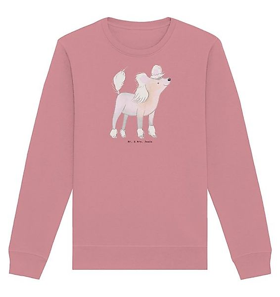 Mr. & Mrs. Panda Longpullover Chinesischer Schopfhund Moment Größe S - Cany günstig online kaufen