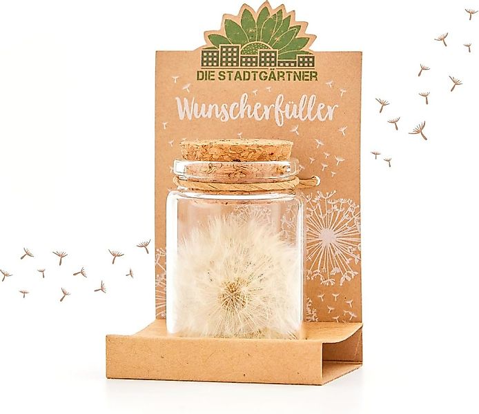 Trockenblume Wunscherfüller, Perfekte Geschenkidee für jeden Anlass Pustebl günstig online kaufen