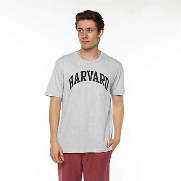 Champion  T-Shirt Harvard günstig online kaufen