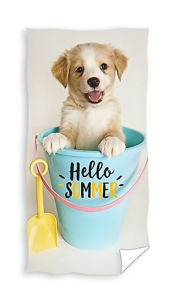 Carbotex Strandtuch Hund Badetuch Handtuch Strandtuch günstig online kaufen