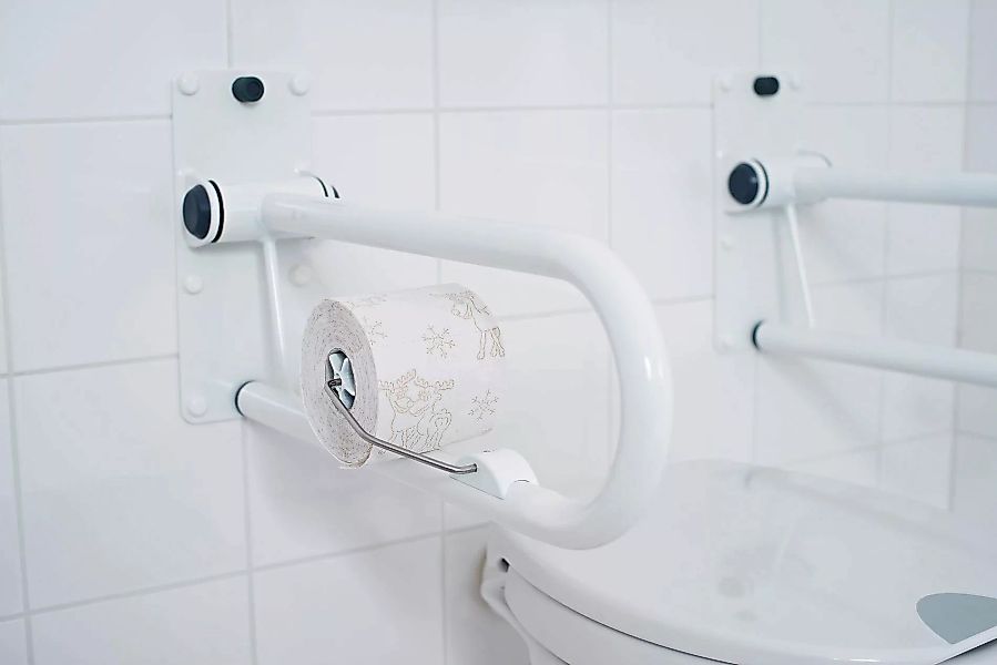 Ridder Toilettenpapierhalter "Tim", für Haltegriffe, UV-beständig günstig online kaufen