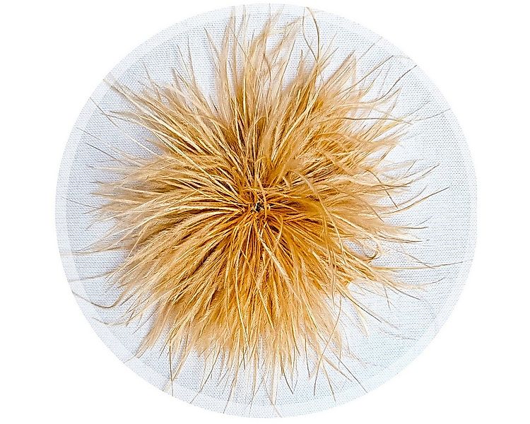 Brosche Federbrosche Beige Clip Antecker Federn Klammer Haarklammer Strauße günstig online kaufen