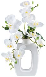 Kunstpflanze Orchidee Phalaenopsis Orchidee, my home, günstig online kaufen