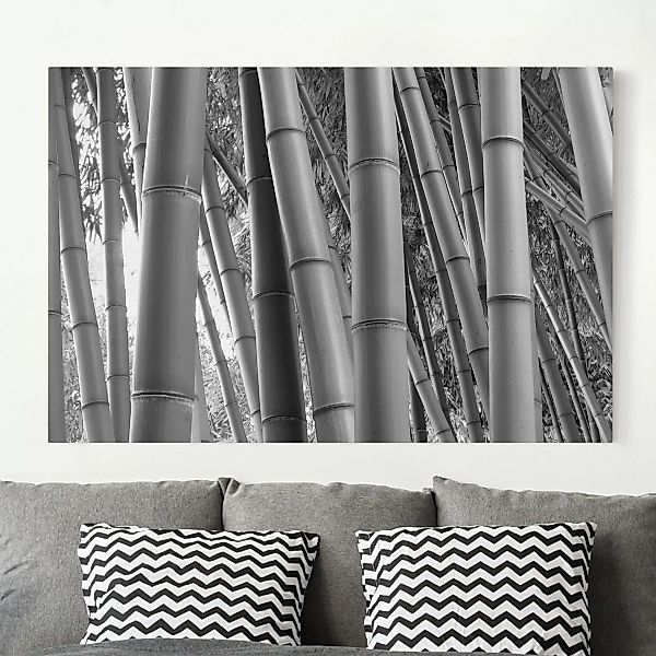 Leinwandbild Bambus - Querformat Bamboo günstig online kaufen