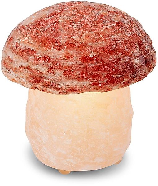 HIMALAYA SALT DREAMS Salzkristall-Tischlampe Pilz, Leuchtmittel günstig online kaufen