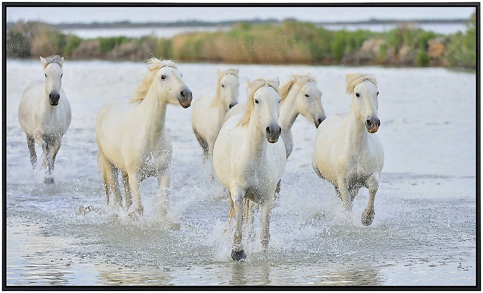 Papermoon Infrarotheizung »Pferde im Wasser« günstig online kaufen