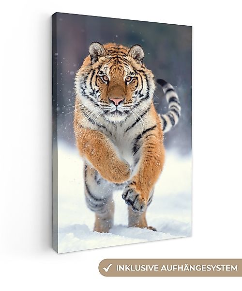 OneMillionCanvasses® Leinwandbild Tiger - Landschaft - günstig online kaufen