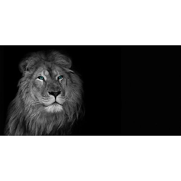 Bönninghoff Keilrahmenbild Löwe B/L: ca. 50x100 cm günstig online kaufen