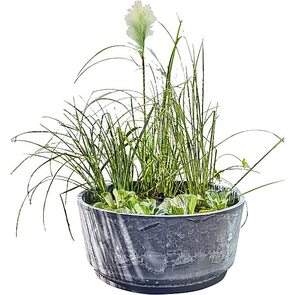 Heissner Gartenbrunnen Solar Wassergarten AQUATOPIA inkl. günstig online kaufen