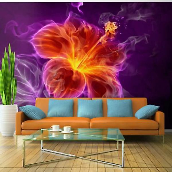 artgeist Fototapete Fiery flower in purple mehrfarbig Gr. 350 x 245 günstig online kaufen