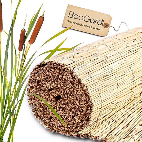 BooGardi Sichtschutzzaunmatten Schilfrohrmatte natur, (1-St., Sichtschutzma günstig online kaufen