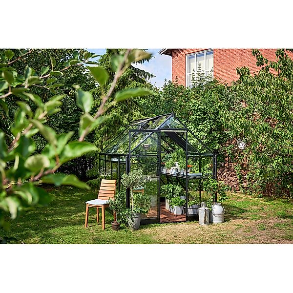 Halls Gewächshaus Qube 68 Schwarz 5 m² günstig online kaufen