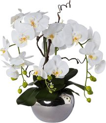 Creativ green Kunstorchidee "Phalaenopsis" im Keramiktopf günstig online kaufen