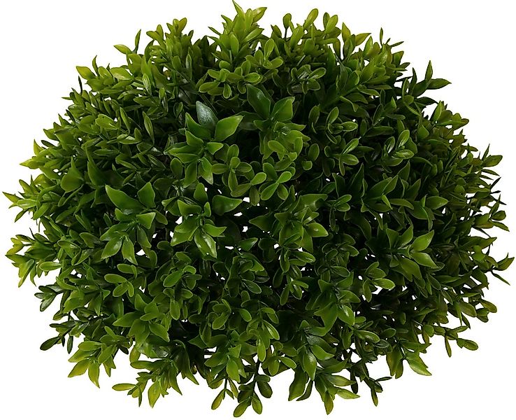 Creativ green Kunstpflanze "Buchsbaumhalbkugel" günstig online kaufen