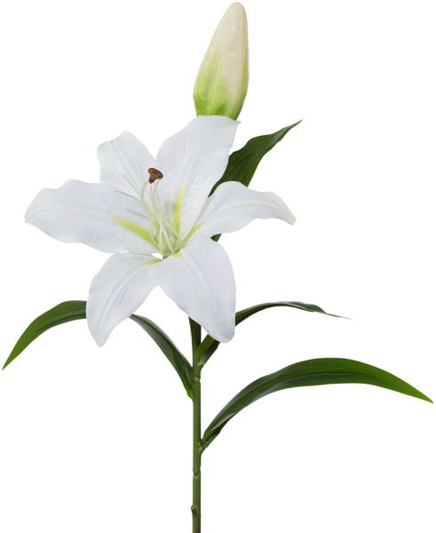 Kunstblume, Creativ green, Höhe 50 cm, günstig online kaufen