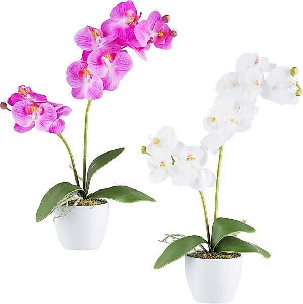 Kunstorchidee Orchidee Phalaenopsis, Creativ green, Höhe 57 cm, mit real-to günstig online kaufen