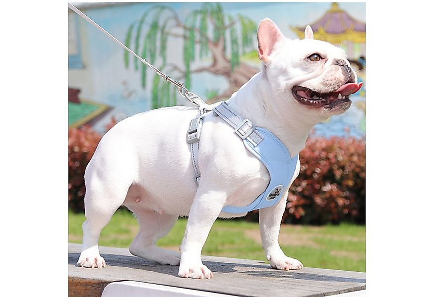 BYSURE Hunde-Geschirr, Hundegeschirr und Leine-Set günstig online kaufen