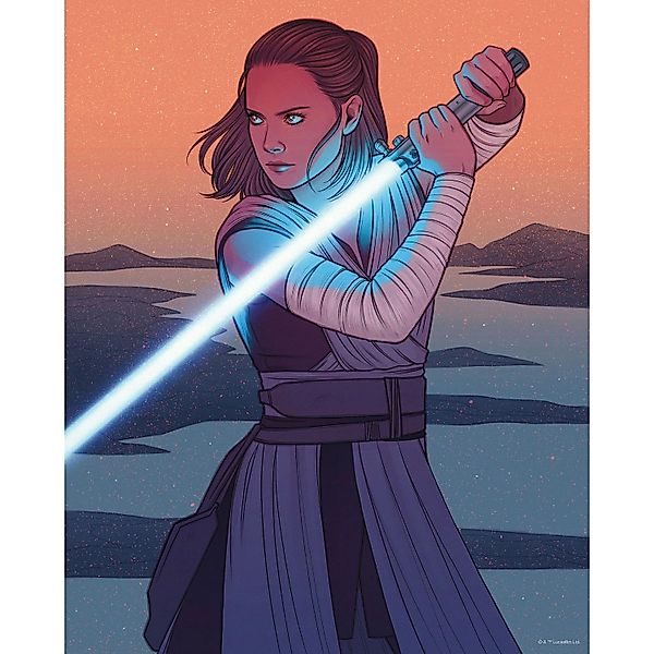 Disney Poster Star Wars Rey Orange und Grau 40 cm x 50 cm 612871 günstig online kaufen