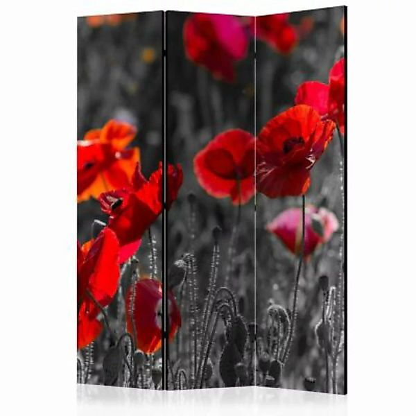 artgeist Paravent Red Poppies [Room Dividers] mehrfarbig Gr. 135 x 172 günstig online kaufen