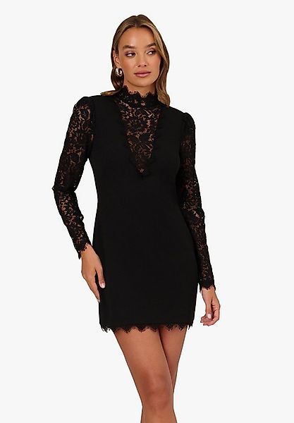 Adrianna Papell Abendkleid Lace and Crepe Short Dress Hoher Kragen, Spitze günstig online kaufen