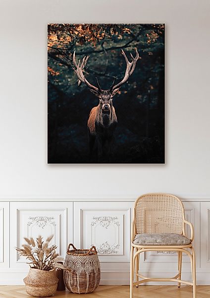 Bönninghoff Leinwandbild, Hirsch-Hirschbilder-Hirsche-Rehe-Tiere-Wildtiere- günstig online kaufen