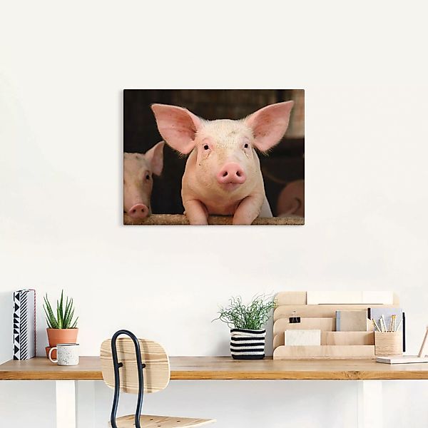 Artland Wandbild "Vorwitziges Schwein", Haustiere, (1 St.), als Leinwandbil günstig online kaufen