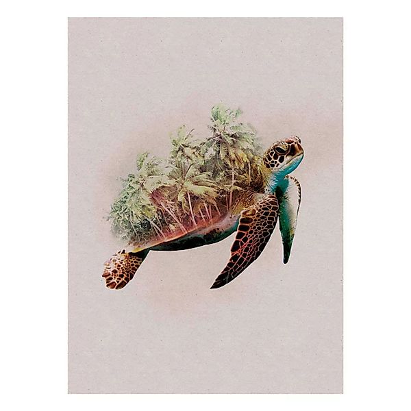 Komar Wandbild Animals Paradise Turtle Tiere B/L: ca. 30x40 cm günstig online kaufen