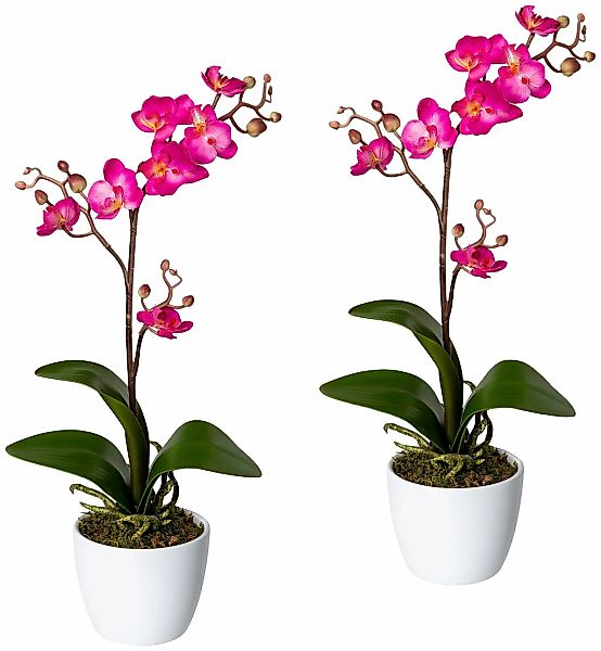 Creativ green Kunstpflanze "Orchidee Phalaenopsis", im Keramiktopf günstig online kaufen