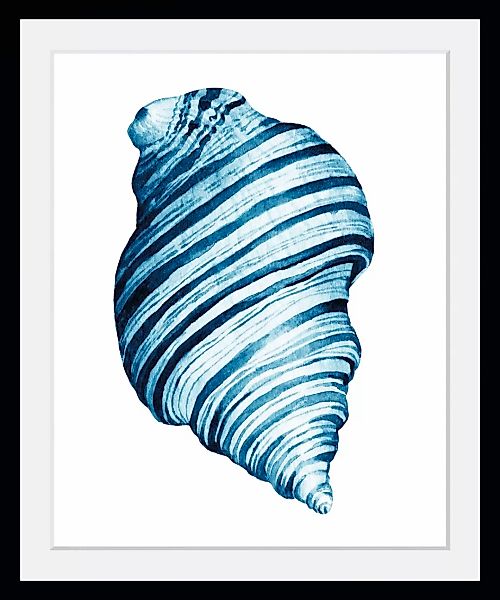 queence Bild »Lisbeth«, Meer-Wassertiere-Kunst, (1 St.), HD Premium Poster- günstig online kaufen