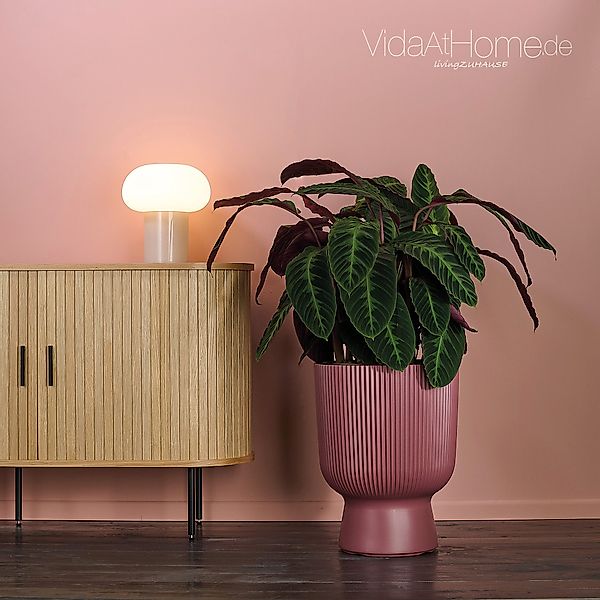 VidaAtHome.de Blumentopf Design-Pflanzgefäß ALVY ø 40er, günstig online kaufen