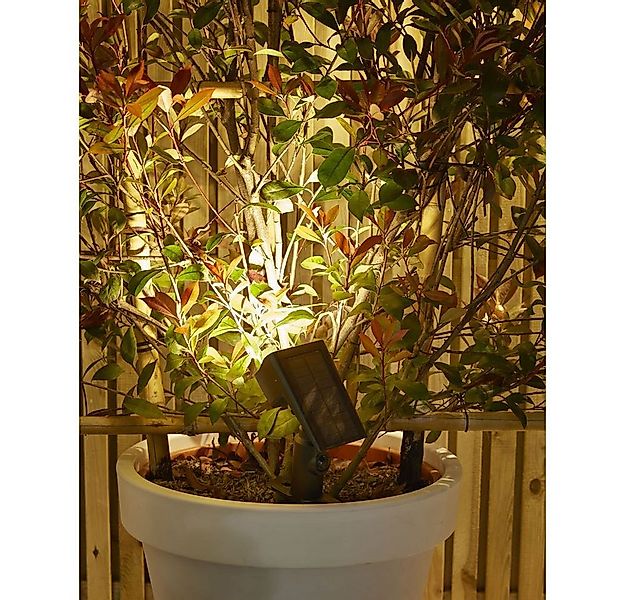 Luxform Gartenleuchte Luxform Solar Leuchte Bewegungsmelder Security Rosari günstig online kaufen