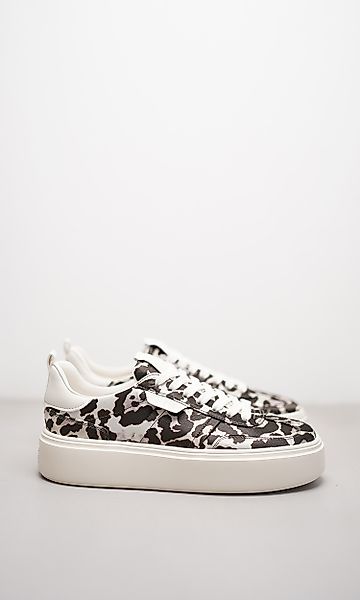 COOL günstig online kaufen
