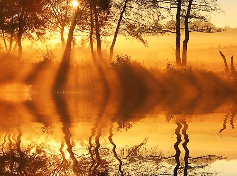 Papermoon Fototapete »DÄMMERUNG-REFLEXION VON BÄUMEN UFER FLUSS SEE SONNE« günstig online kaufen