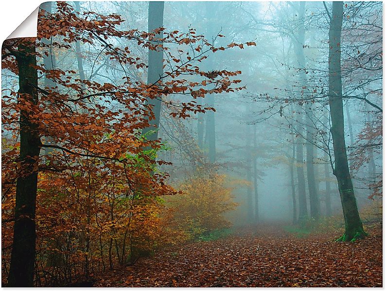 Artland Wandbild "Nebel im Herbstwald", Wald, (1 St.), als Leinwandbild, Po günstig online kaufen