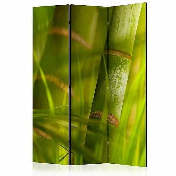 3-teiliges Paravent - Bamboo - Nature Zen [room Dividers] günstig online kaufen