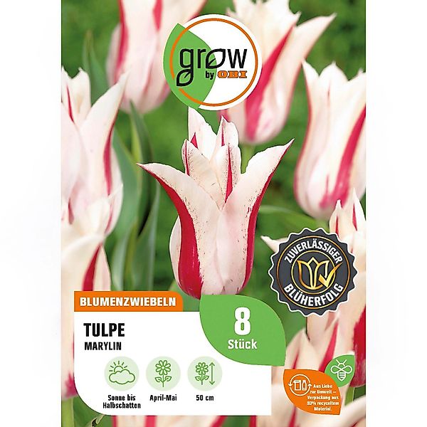 GROW by OBI Tulpe Marylin Rosa-Weiß 8 Stück Tulipa lily flowering Marylin günstig online kaufen