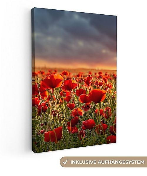 OneMillionCanvasses® Leinwandbild Sonnenuntergang - Mohnblumen - Rot - Blum günstig online kaufen