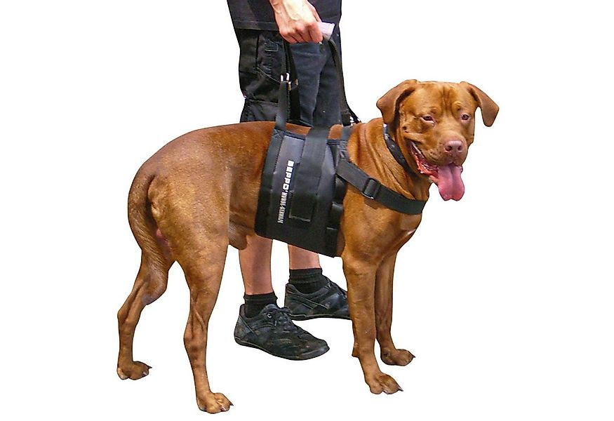 Schecker Hunde-Sicherheitsgeschirr Beppo® Hunde Gehhilfe One-Size, Neopren, günstig online kaufen