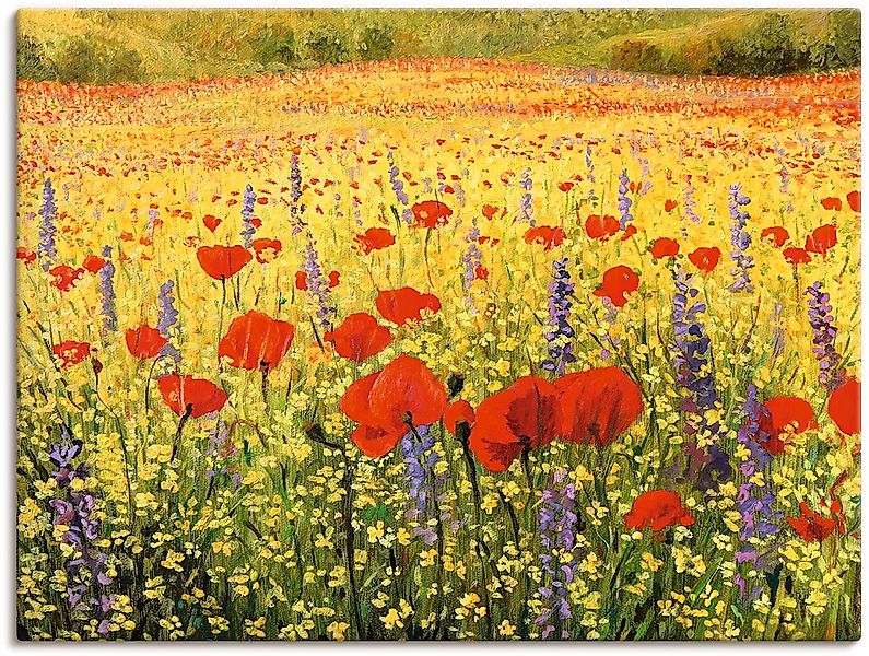 Artland Leinwandbild "Mohnblumenfeld" Felder 1 Stk. tlg. auf Keilrahmen ges günstig online kaufen