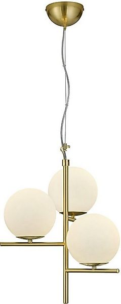 TRIO Leuchten Pendelleuchte Pure, ohne Leuchtmittel, Hängeleuchte, Hängelam günstig online kaufen