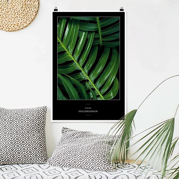Poster Blumen - Hochformat Tropische Blätter Philodendron günstig online kaufen