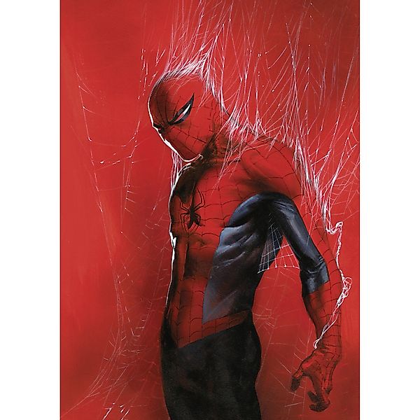Komar Wandbild Marvel Spider-Man Through the Spider Web 50 cm x 70 cm Rot günstig online kaufen