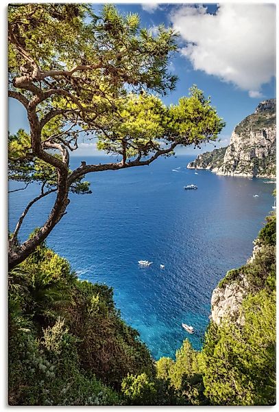 Artland Wandbild "Punta de Masullo, Insel Capri, Italien", Meer Bilder, (1 günstig online kaufen